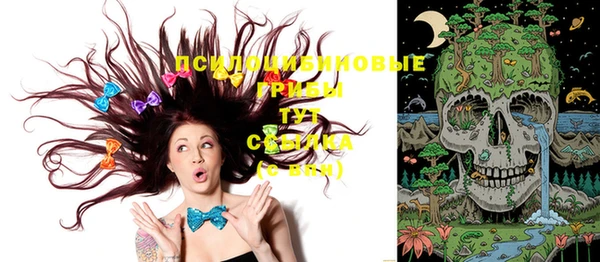 молекула духа Абаза